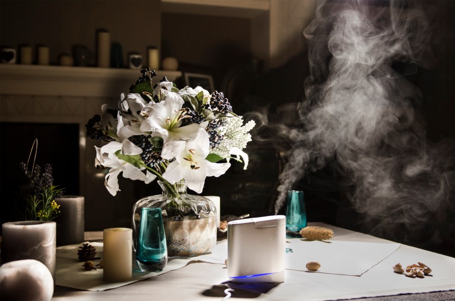flowers and steam humidifier