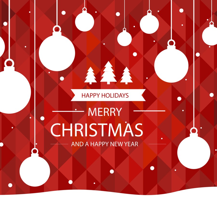 Happy Holidays Merry Christmas and a Happy New Year