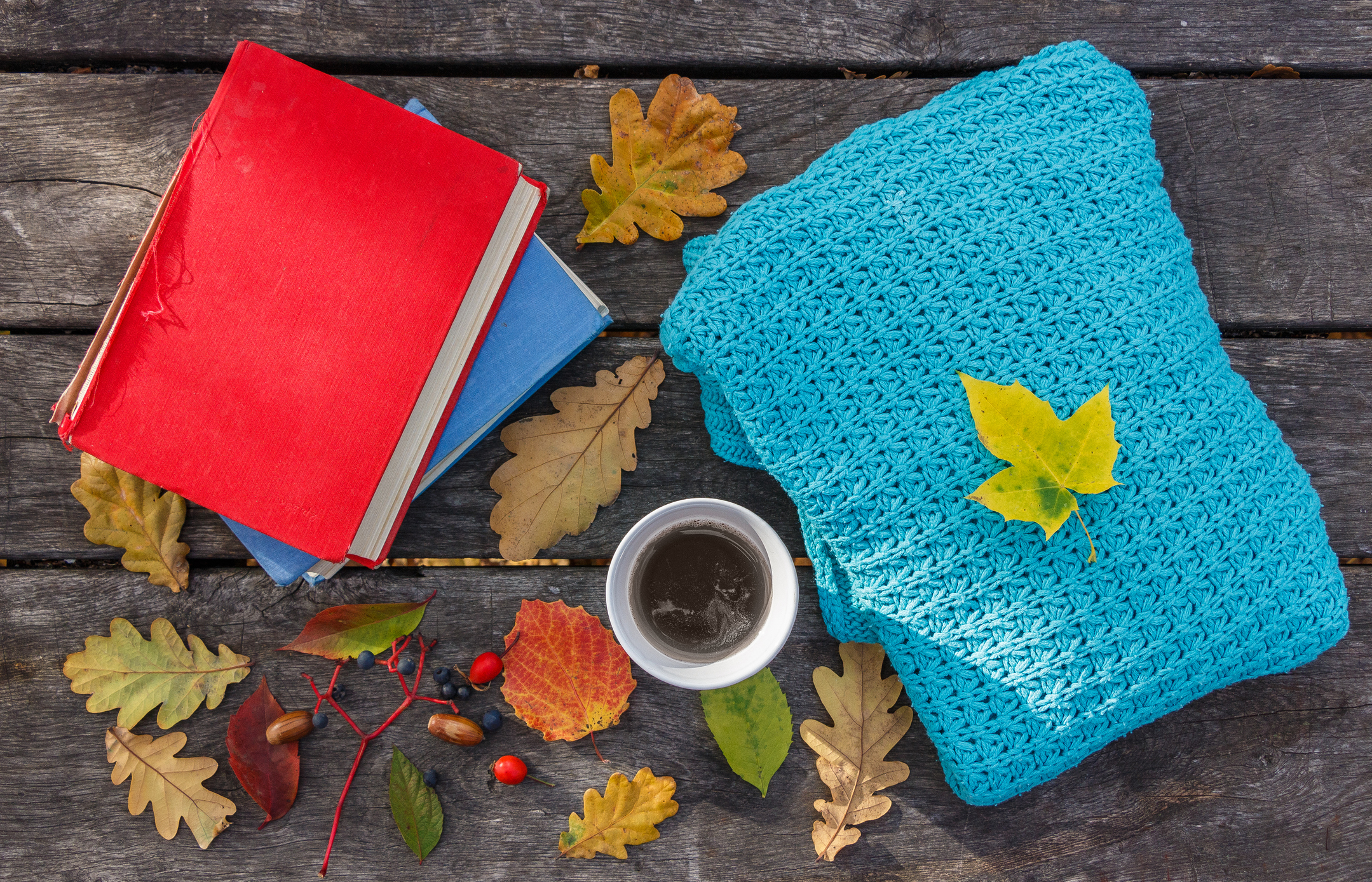 fall autumn book blanket coffee
